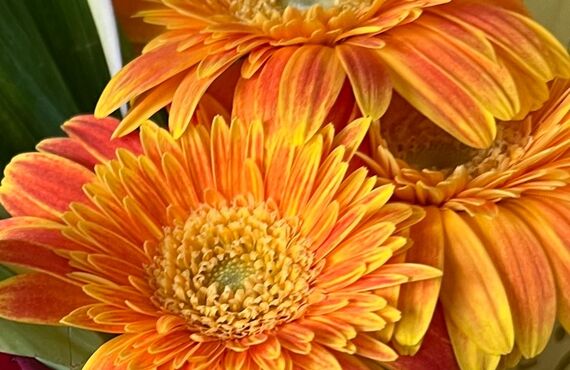 お逢いして、お顔を見ながら/サロン月虹
